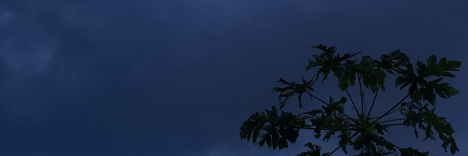 🪐 | 𝐅𝐑_𝐏𝐒𝐀𝐍𝐓 🩵 banner