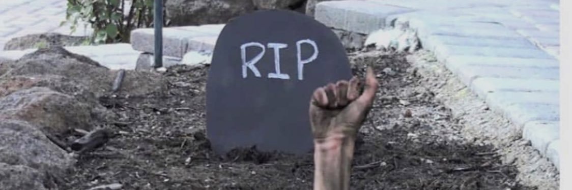deebeez11's profile banner image
