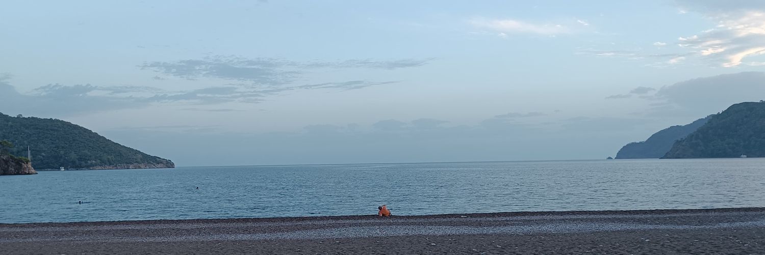 cenkozgur's profile banner image