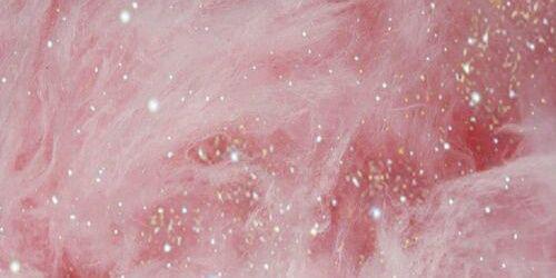 MAC_N_Trees's profile banner image