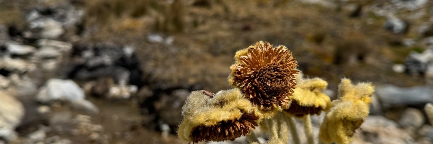 Sandia_Duque's profile banner image