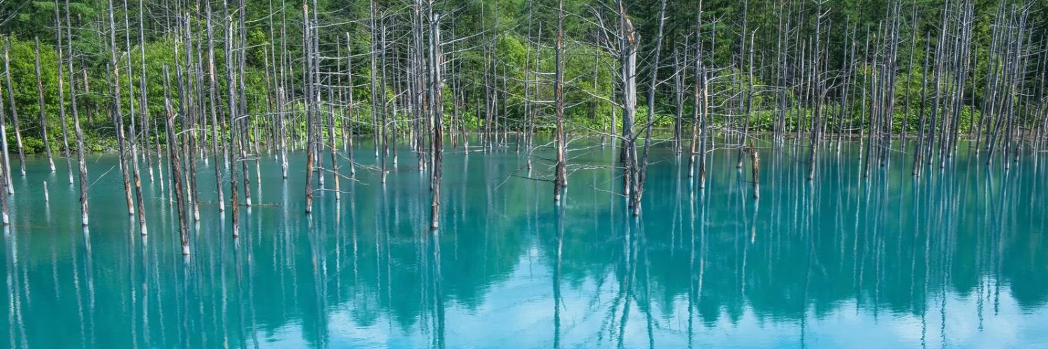 MT(み)＠左片麻痺 banner