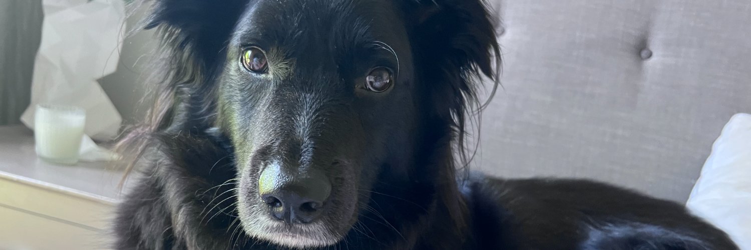 Brian Beattie banner