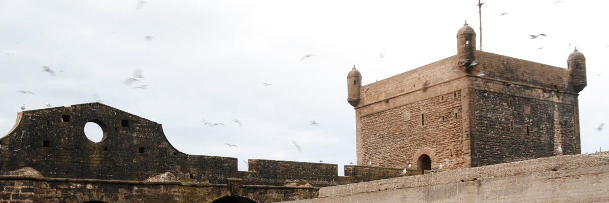 gallego85's profile banner image