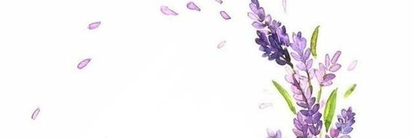 borboleta_soap Profile Banner