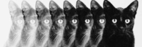 mands banner