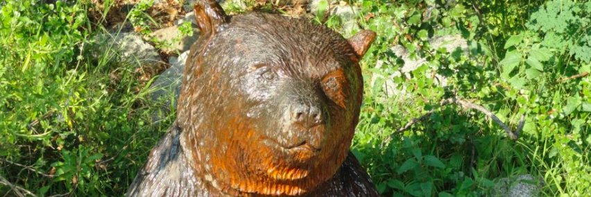 Monrovia Patch banner