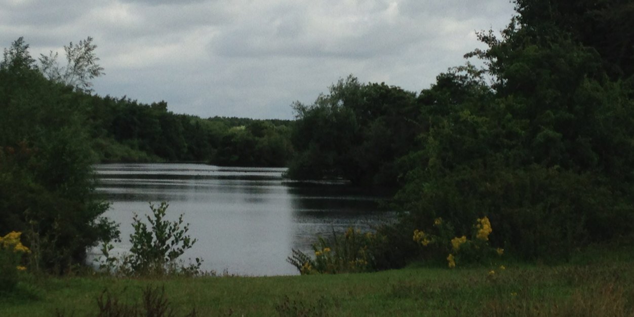 walkgoodnotts's profile banner image