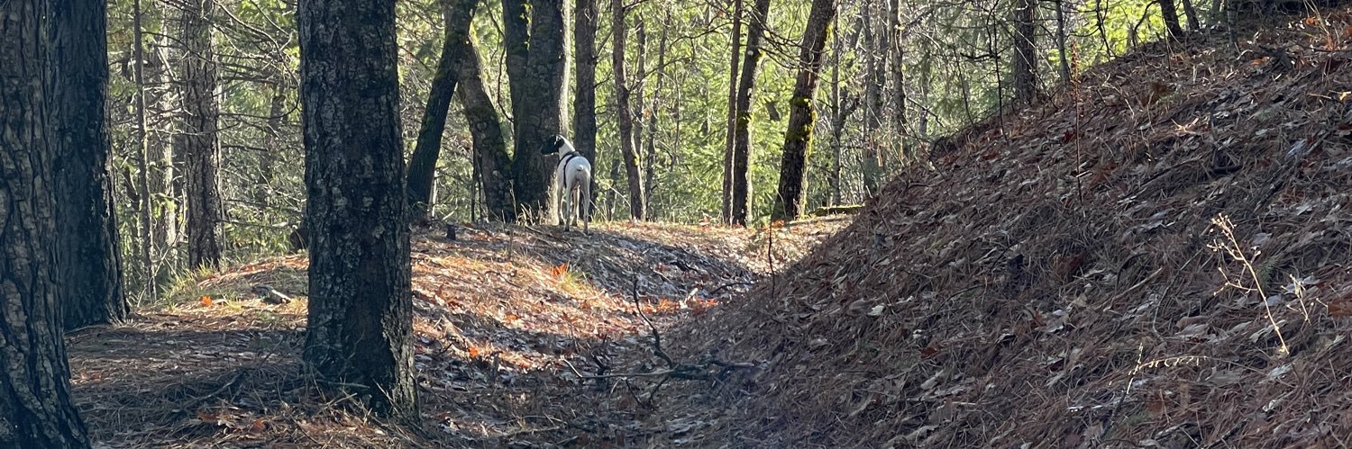 Michael McNeil banner