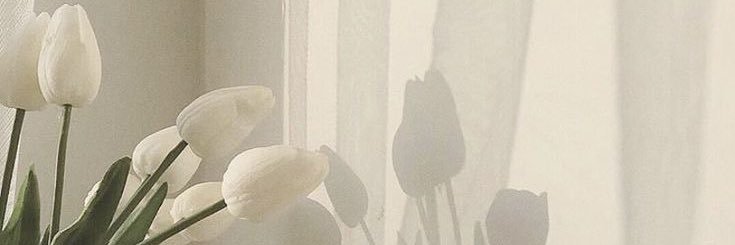 ymk012 banner