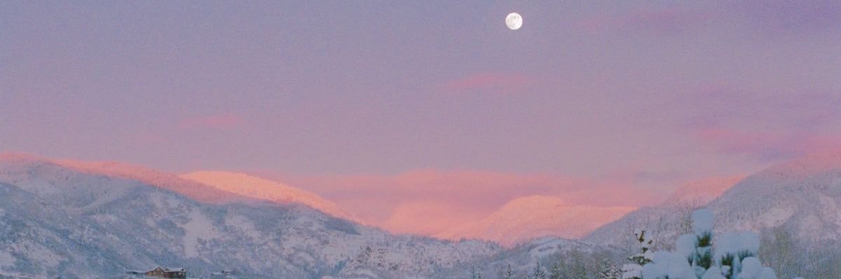 petite_fleur__'s profile banner image