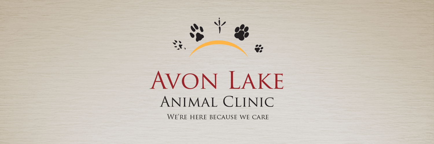 AvonLakeAnimal's profile banner image