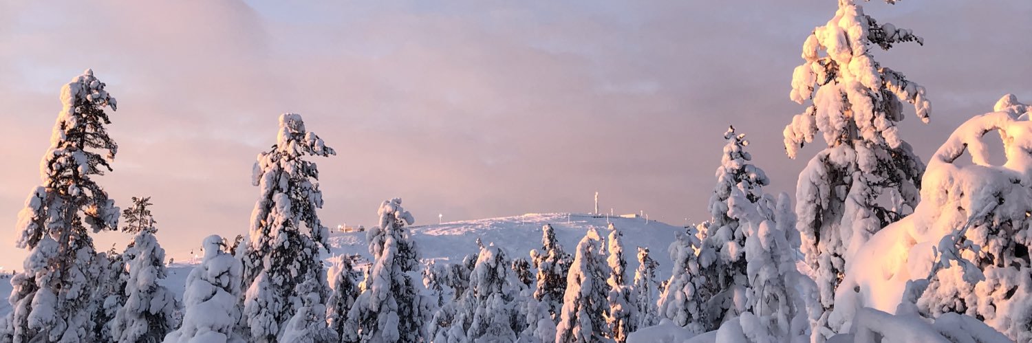 sivenius's profile banner image