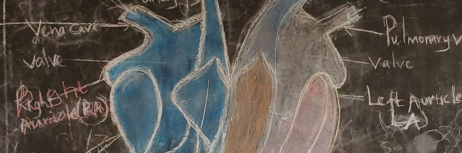 AVanHoever's profile banner image