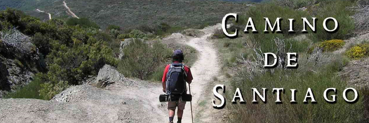 Pamela Stroko banner