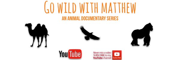 DBrennanCYW Profile Banner