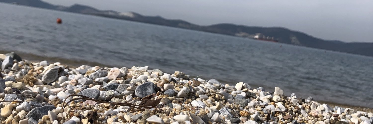 1dehaniz's profile banner image