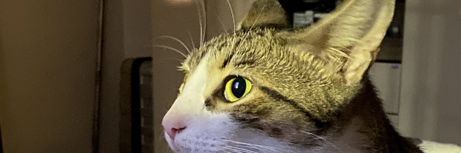 nickolevn_'s profile banner image
