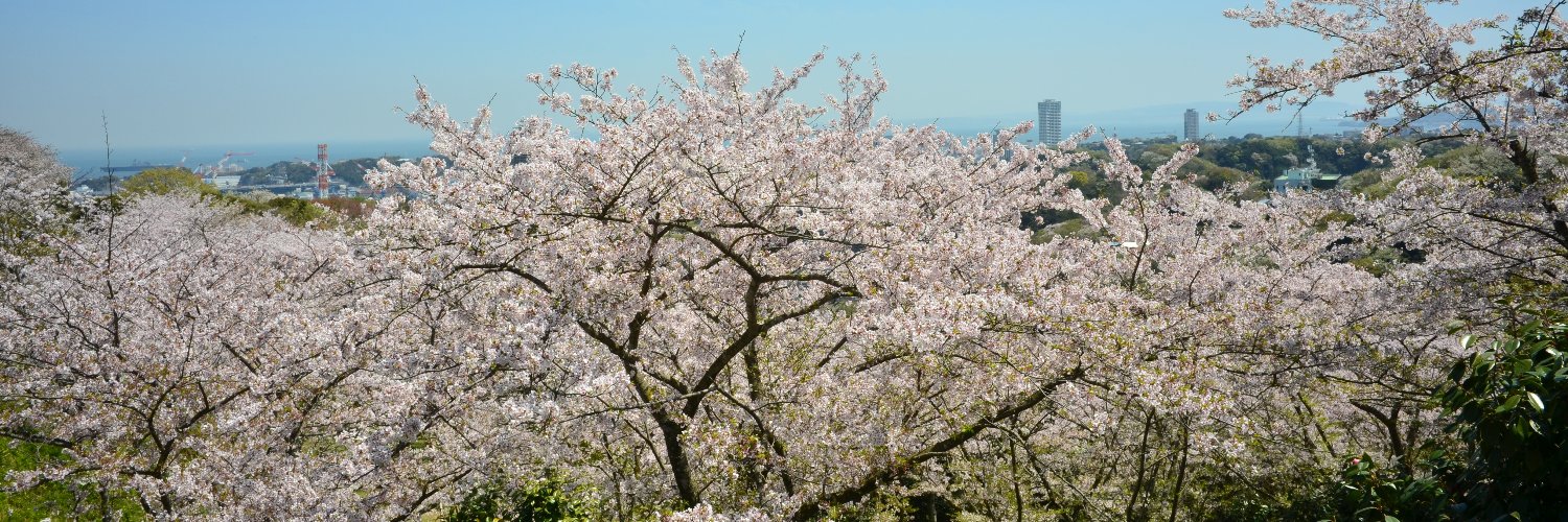 tsukayamapark's profile banner image