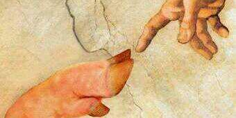 Patricia Barroso banner