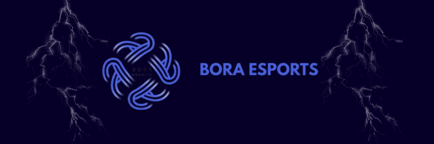 Bora Esports (@Bora_Esports) / Posts / X