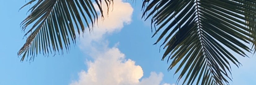 pauangulo's profile banner image