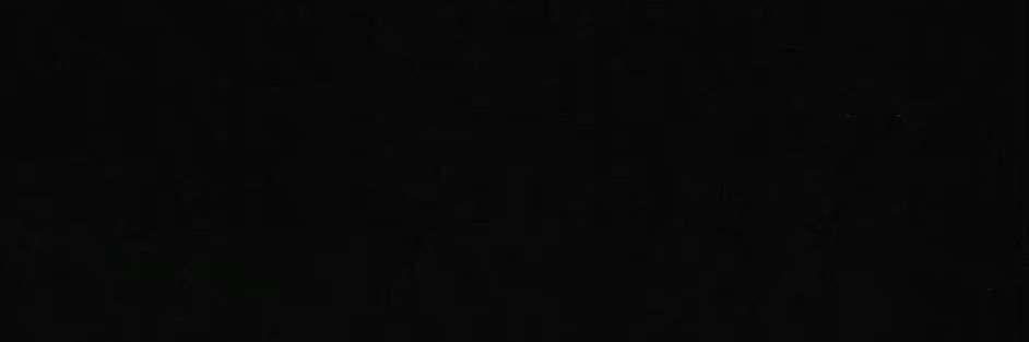 i_m_niko banner
