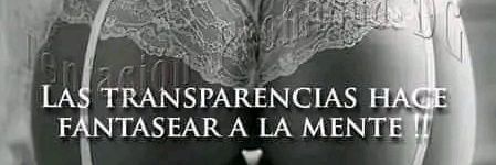 Ana Rigo banner