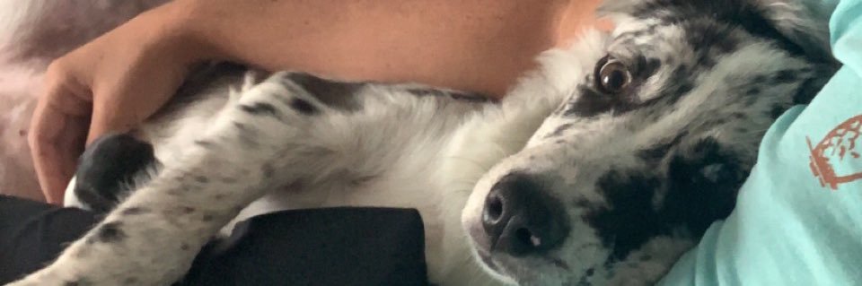 ceverly5's profile banner image