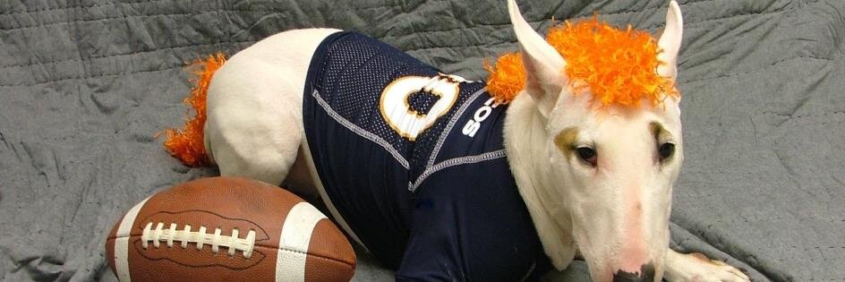 spawty's profile banner image