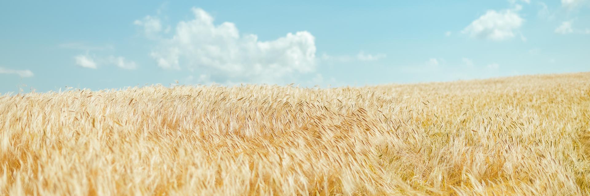 PrometeoFarro's profile banner image