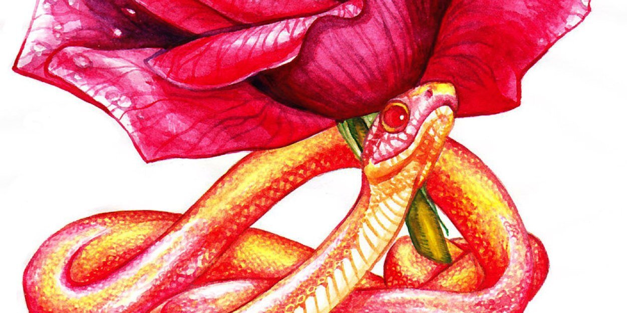 IncongruousOne's profile banner image