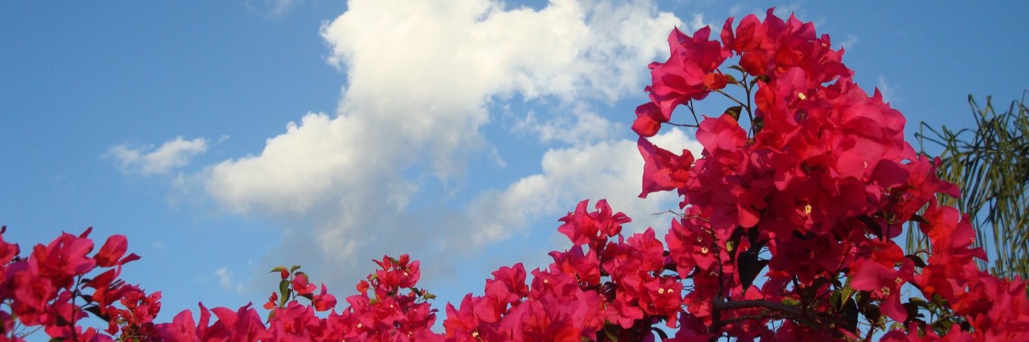 Laura Caballero (@llaureta) / Posts / X