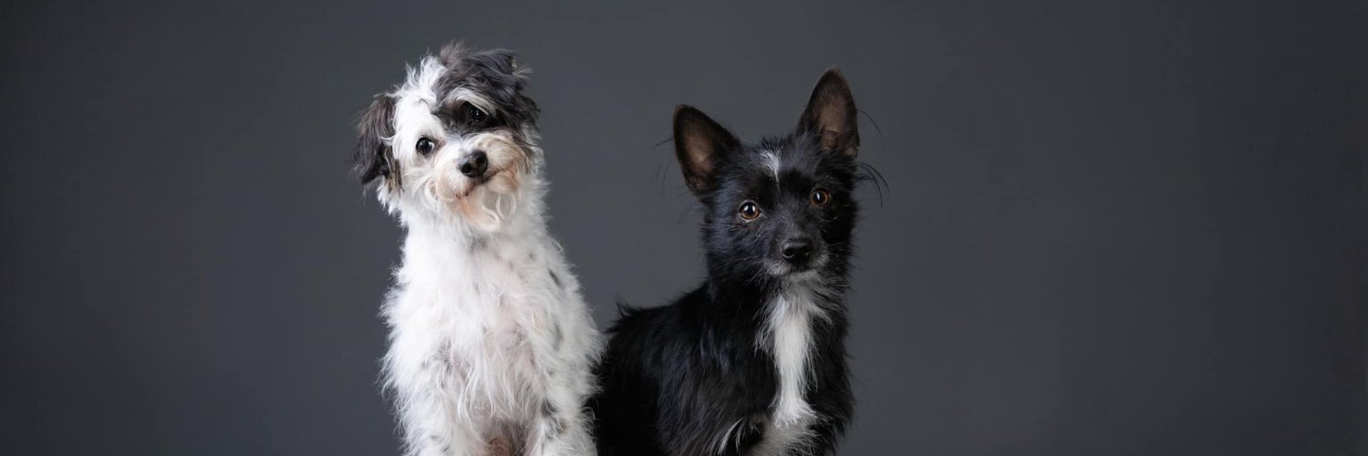 Richard Marmorstein banner