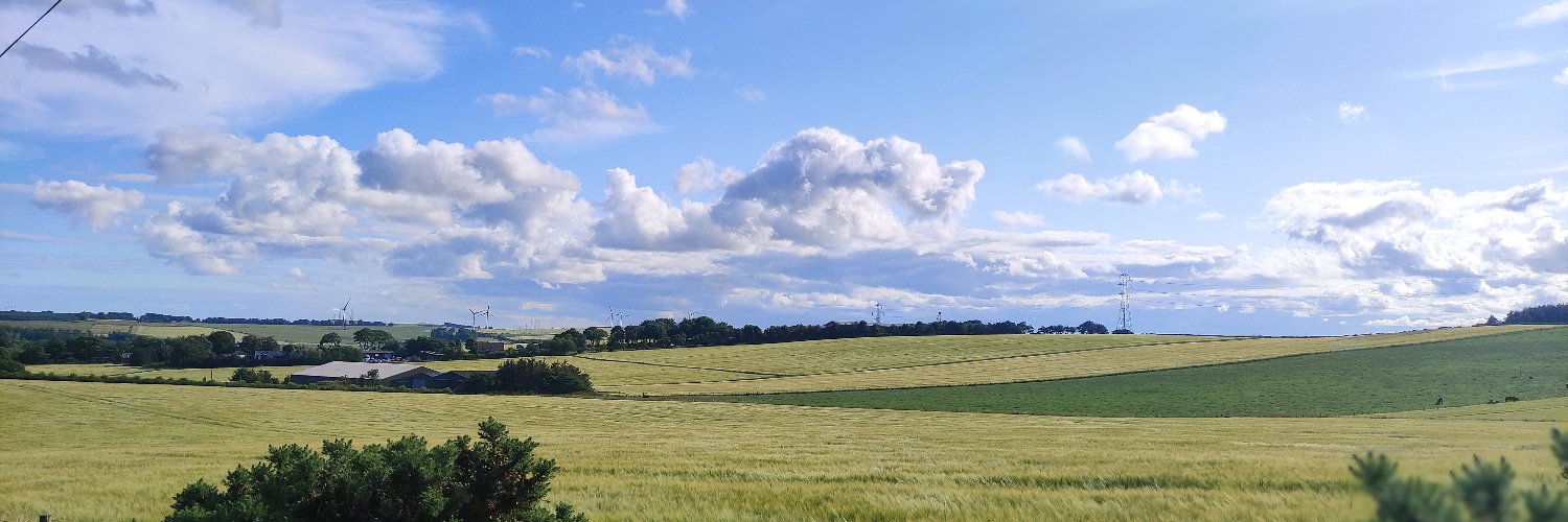 DerekClunas's profile banner image