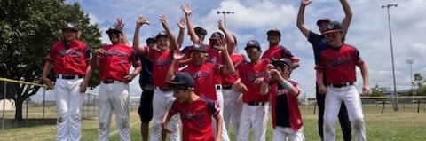 NW DC Little League banner