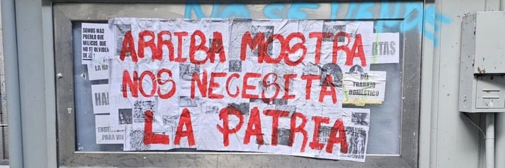 Niña Foca banner