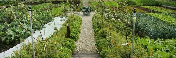 andy_wright99 Profile Banner