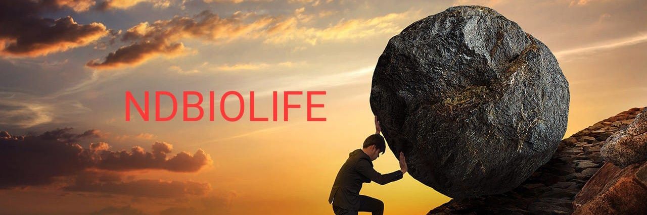 riteshtomar277's profile banner image