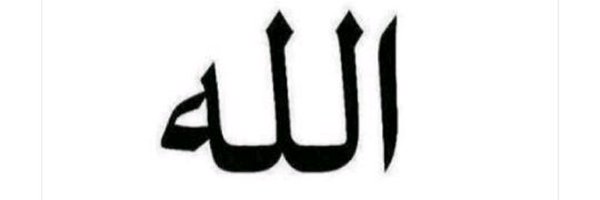 ProlificMidey Profile Banner