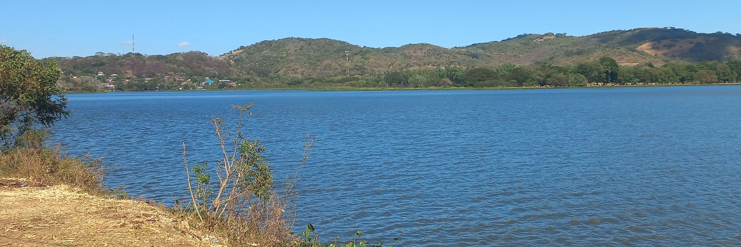 Wilber Alberto banner