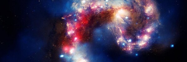 rvzoo Profile Banner