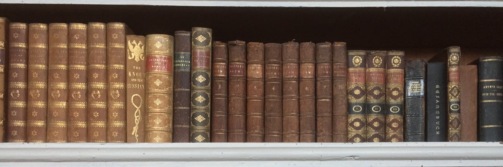 Ferdinand 🇺🇦 banner