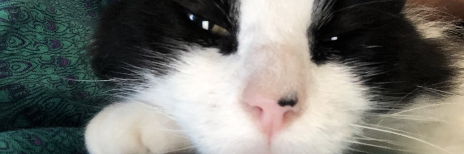 soo_fag's profile banner image