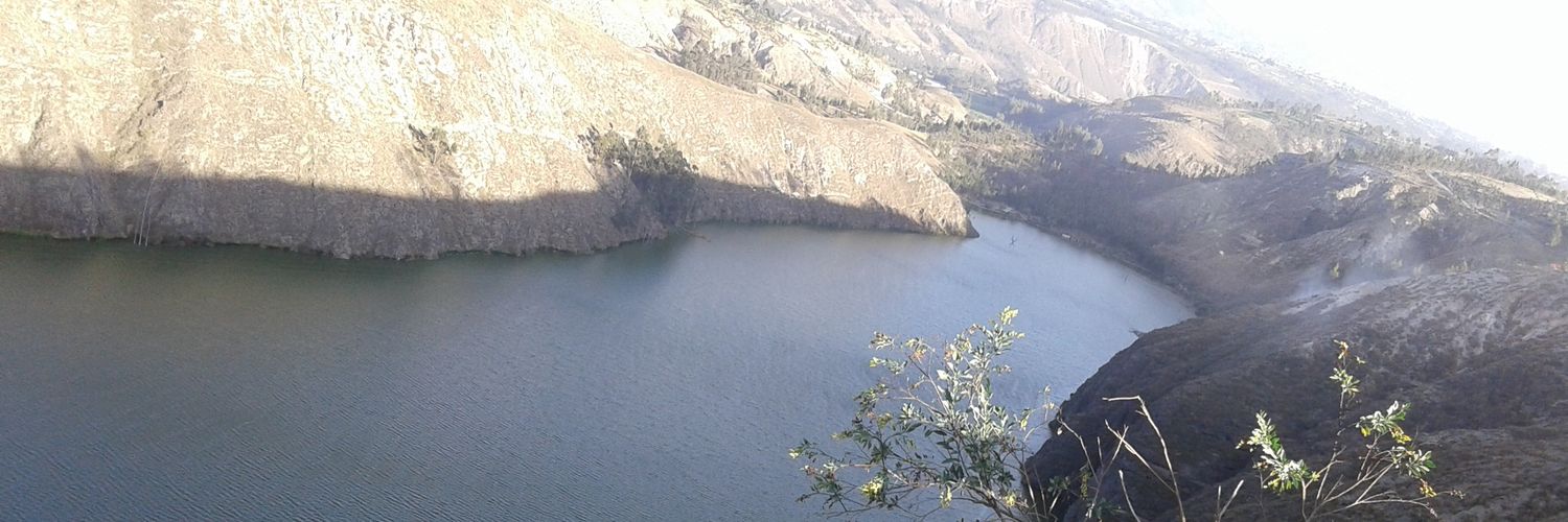 Darío J. Mendoza banner