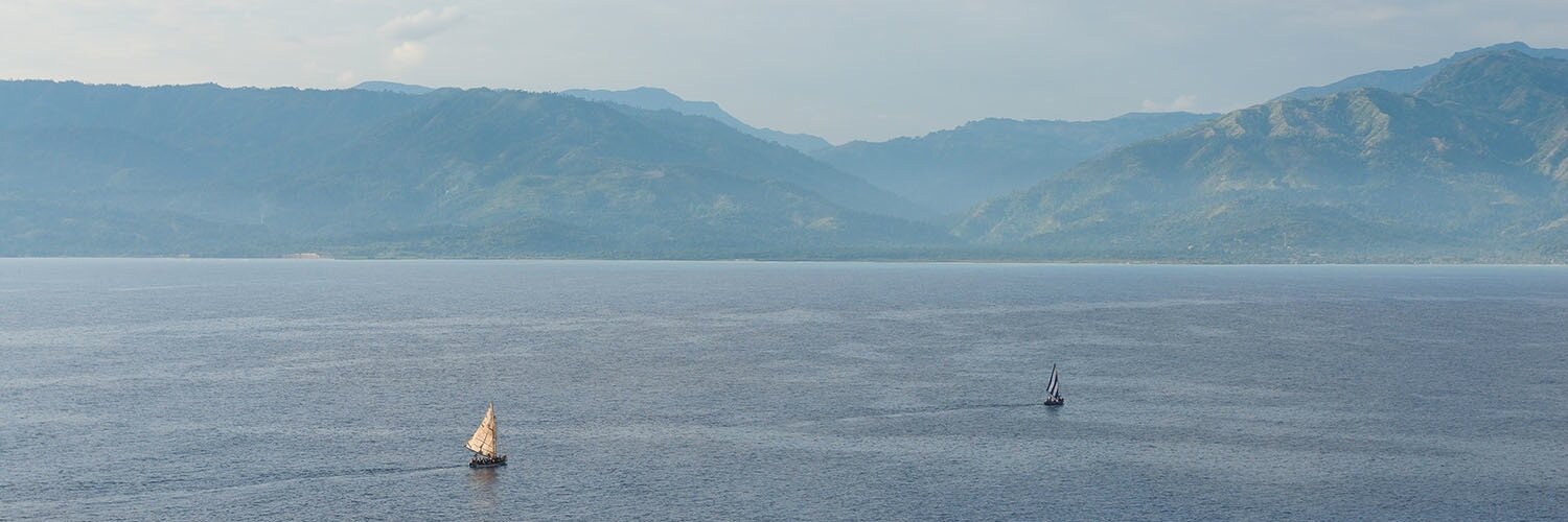 Hank Shiffman banner