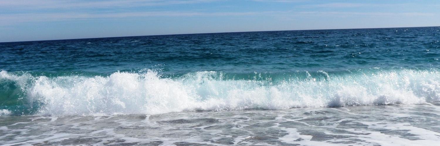 Julián Serrano banner