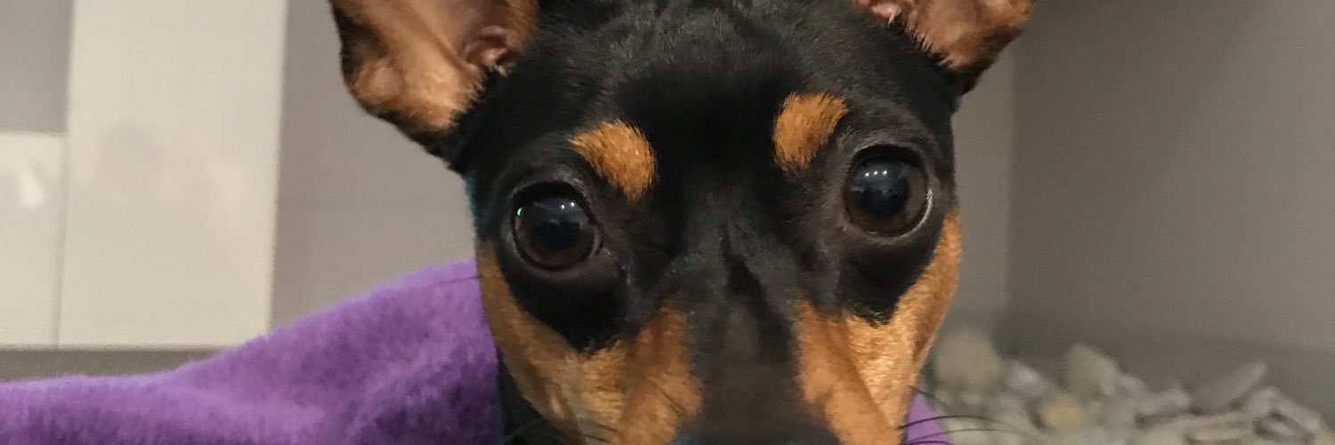 estebancapelo20's profile banner image