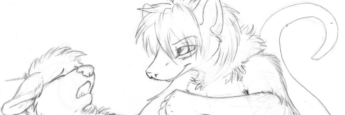 Barefoot Wolf ™ banner
