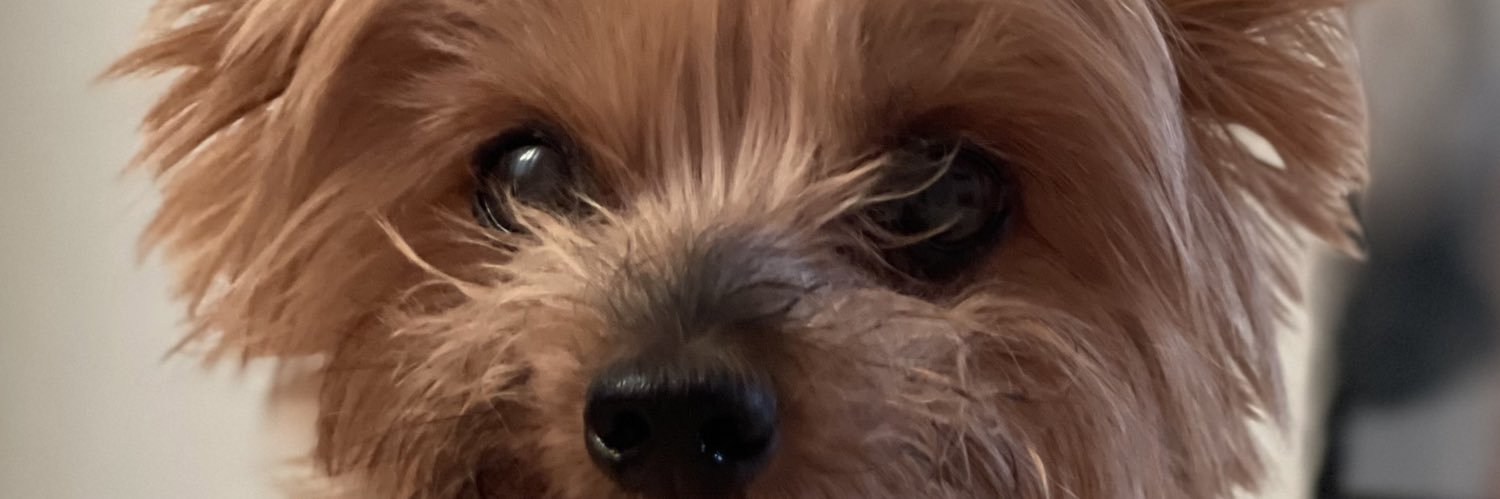 VivasMarifer's profile banner image